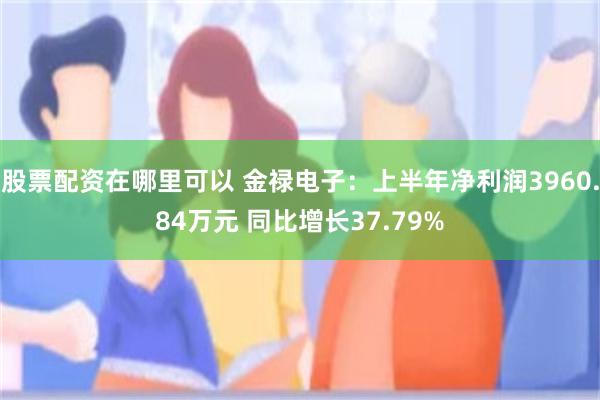 股票配资在哪里可以 金禄电子：上半年净利润3960.84万元 同比增长37.79%