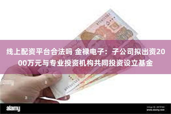 线上配资平台合法吗 金禄电子：子公司拟出资2000万元与专业投资机构共同投资设立基金