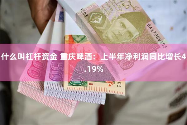 什么叫杠杆资金 重庆啤酒：上半年净利润同比增长4.19%