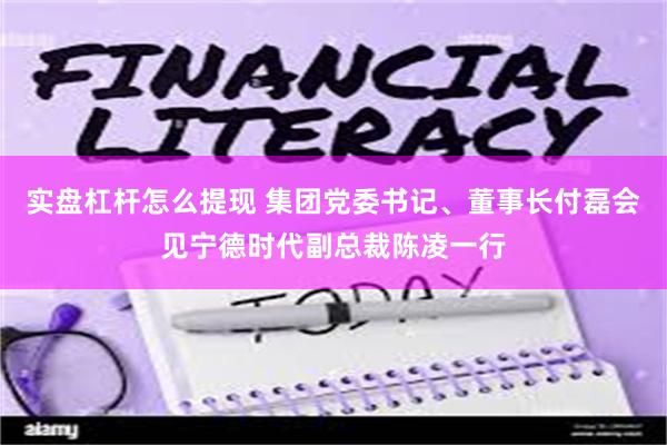 实盘杠杆怎么提现 集团党委书记、董事长付磊会见宁德时代副总裁陈凌一行