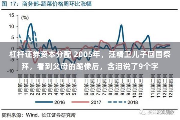 杠杆证券资本分配 2005年，汪精卫儿子回国祭拜，看到父母的跪像后，含泪说了9个字