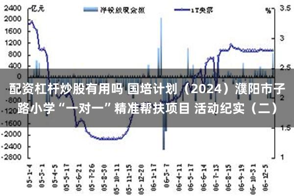 配资杠杆炒股有用吗 国培计划（2024）濮阳市子路小学“一对一”精准帮扶项目 活动纪实（二）