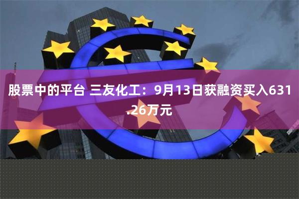 股票中的平台 三友化工：9月13日获融资买入631.26万元