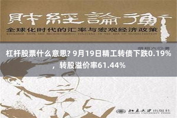 杠杆股票什么意思? 9月19日精工转债下跌0.19%，转股溢价率61.44%