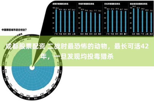 成都股票配资 二战时最恐怖的动物，最长可活42年，一旦发现均投毒猎杀