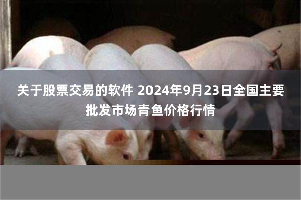 关于股票交易的软件 2024年9月23日全国主要批发市场青鱼价格行情