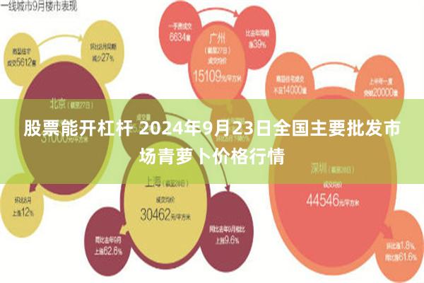 股票能开杠杆 2024年9月23日全国主要批发市场青萝卜价格行情