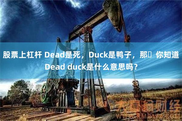 股票上杠杆 Dead是死，Duck是鸭子，那​你知道Dead duck是什么意思吗？