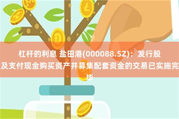 杠杆的利息 盐田港(000088.SZ)：发行股份及支付现金购买资产并募集配套资金的交易已实施完毕