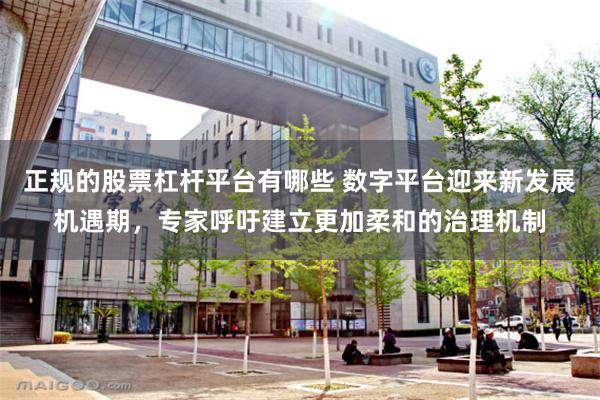 正规的股票杠杆平台有哪些 数字平台迎来新发展机遇期，专家呼吁建立更加柔和的治理机制