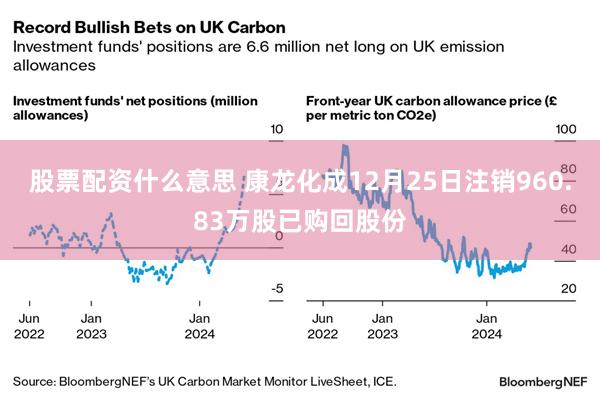 股票配资什么意思 康龙化成12月25日注销960.83万股已购回股份