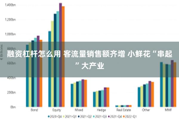 融资杠杆怎么用 客流量销售额齐增 小鲜花“串起”大产业